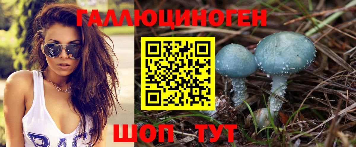 Ялта  Галлюциногенные грибы прущие грибы  купить закладку  Вход с VPN  Псилоцибиновые грибы GOLDEN TEACHER 