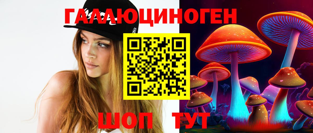 Псилоцибиновые грибы GOLDEN TEACHER Ялта